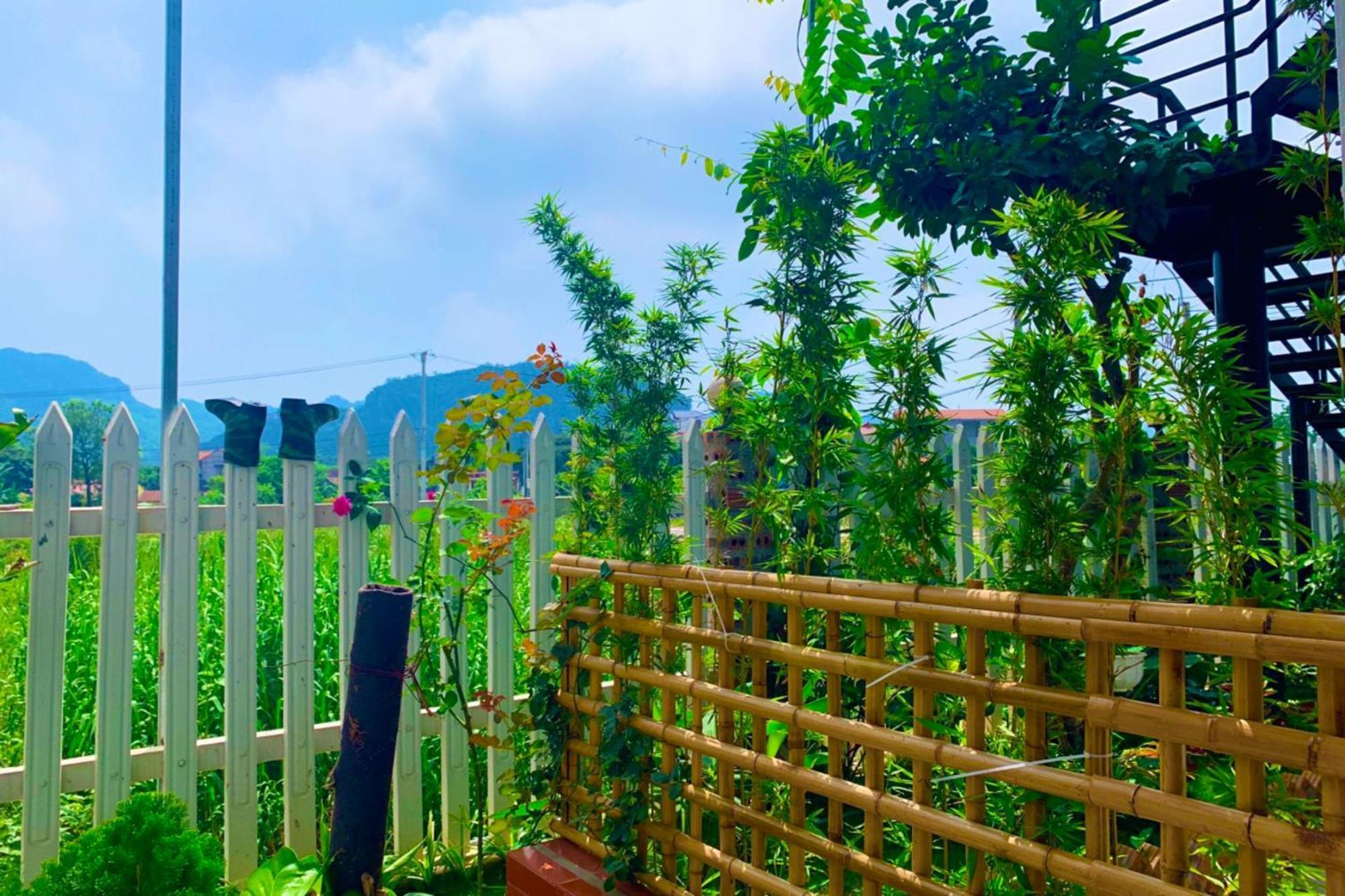 ニンビン The Pineapple House Bed & Breakfast エクステリア 写真